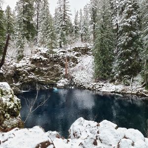 Meet your Posher, Cayla